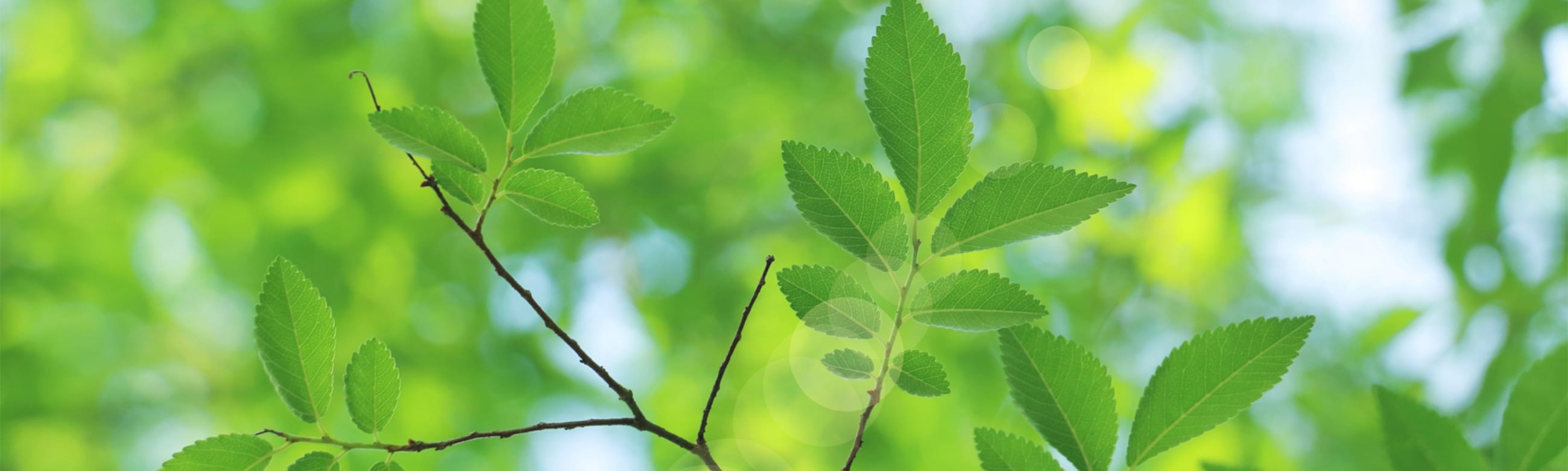 個人情報の取扱について